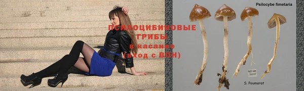 скорость mdpv Надым