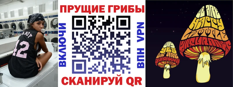 закладки  Фёдоровский  Галлюциногенные грибы прущие грибы 